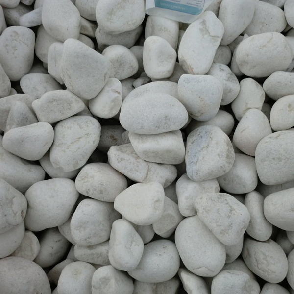 Piedras blancas en - Piedras para Jardín - Canto Rodado
